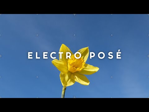 Jean Tonique & warner case – daffodil