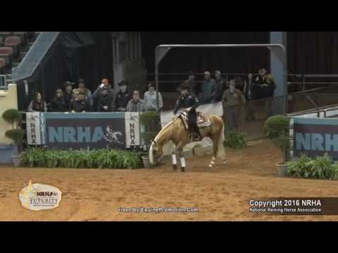 XTRA NEW PAL VOODOO Prova de Rédeas