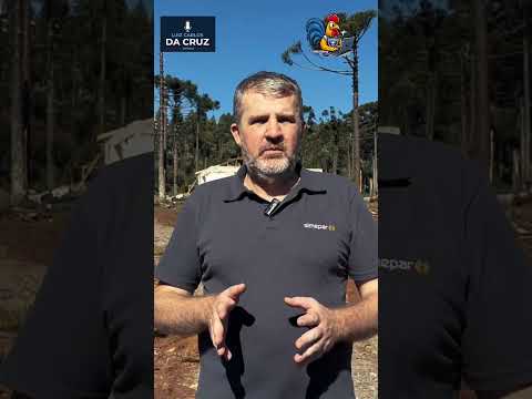 Simpar confirma que tornado atingiu Reserva do Iguaçu (PR)