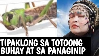 KAHULUGAN NG TIPAKLONG SA PANAGINIP O SA TOTOONG BUHAY | AU PINAS INTERPRETASYON