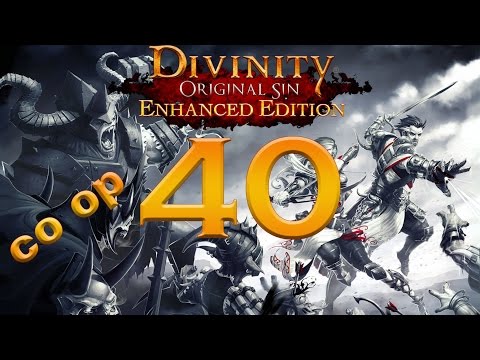 Divinity Original Sin Enhanced Edition coop part 40 Hiberheim