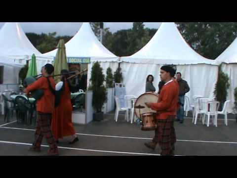 Gaiteiros Vale das mulas - Viva associações 2010