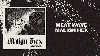 Meat Wave - Malign Hex (Full Album)