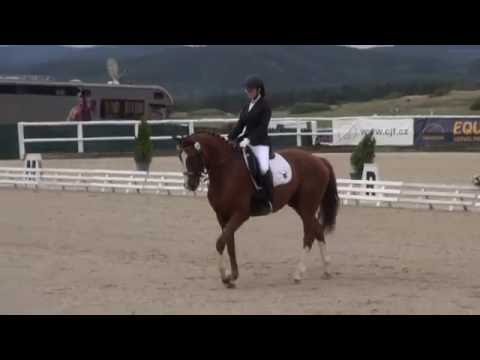 Mladší junioři - Nedělní küry při mistrovství ČR 2016 v drezuře