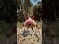 POV🔥 Zoochosis: Monsters Transform Back To Normal #pov #zoochosis #change #transform #animals