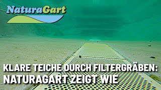 Der einfachste Weg zu klarem Wasser im Teich