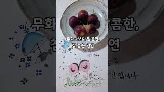 #인연 #취미 #그림 #무화과 #이웃 #과일 #대구요리수업 #늘찬자연음식연구소