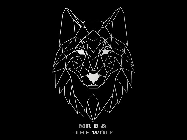 Down That  Road - Mr B & The Wolf