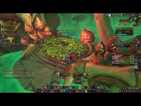 WoW Shadowlands 9.0.5 arms warrior pve Plaguefall Mythic +13