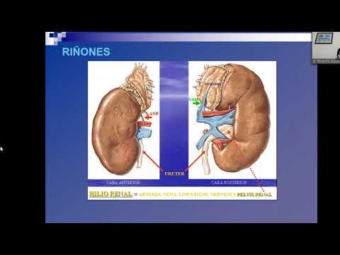MOR112-B 19-07-21 ANATOMIA Y FISIOLOGIA
