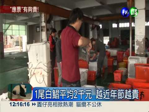 白鯧1尾平均2千元 越近年節越貴