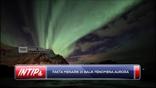 Fakta Menarik Dibalik Fenomena Aurora - INTIPS