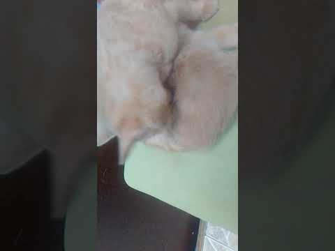 13 de Agosto de 2019