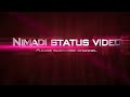 Nimadi Status Video Intro