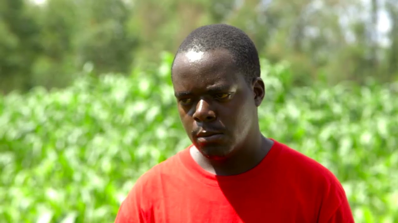 SSU Kenya - Season 13: Episode 15 (Farm 14) Iron-rich beans (Swa)