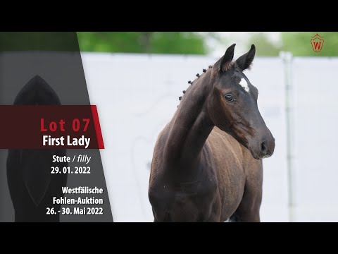 Fohlen-Auktion 26. - 30. Mai Lot 07 First Lady Stute v. Fürstenball - De Niro