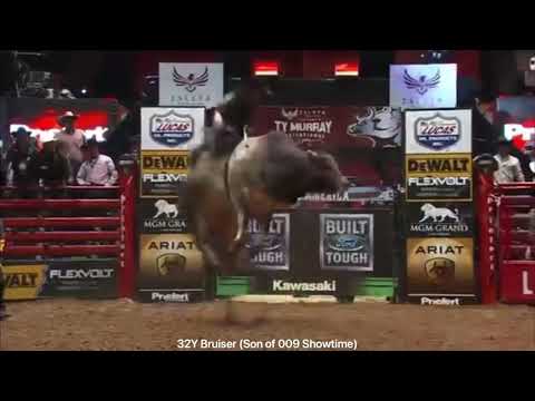 009 Showtime - Reference Video