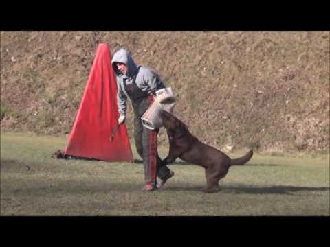 Protection training N. Rudno 12/2016