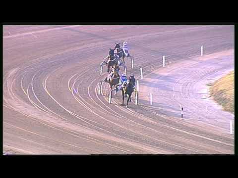 Trotto 18/09/2020 - 1ª prova di qualifica