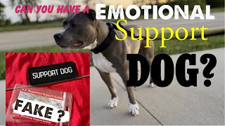 How To Get A Emotional Support Dog?