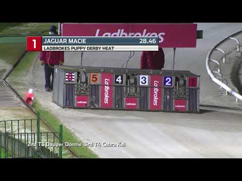 2021 LADBROKES PUPPY DERBY - HEAT 3 - T1 JAGUAR MACIE