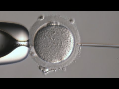 Tagungsvideo Was ist (menschliches) Leben?