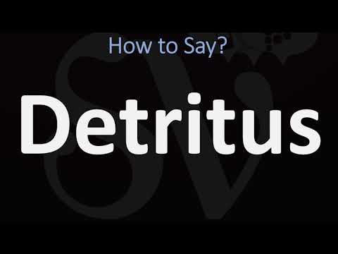 How to Pronounce Detritus? (2 WAYS!) UK/British Vs US/American English Pronunciation