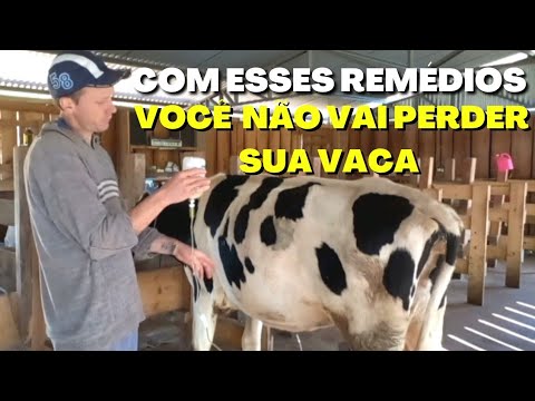 I'll Help You Save Your Cow/How to Identify and Which Remedy to Use for Cattle Poisoning