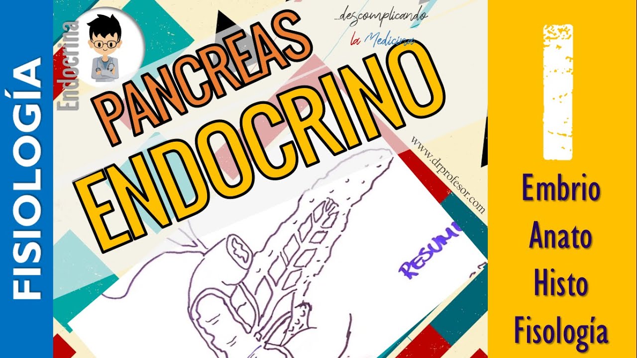 FISIOLOGÍA DEL PANCREAS ENDOCRINO, resumen, Anato, Embrio, Histo, Farmaco |Fisio-Endocrino|1