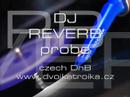 DJ REVERB  - probe