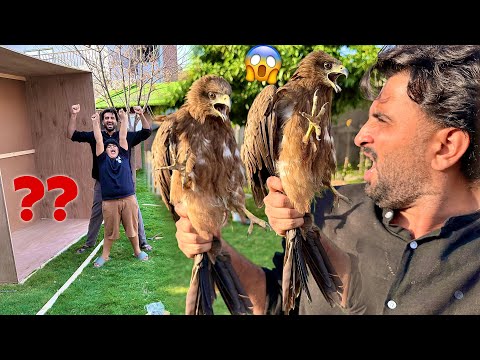 Shayan Minizoo Main Petshop Bana Raha hai 😍