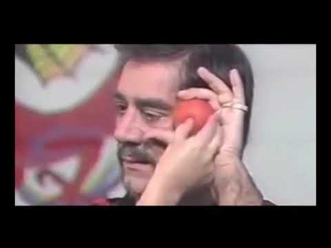 Kung Fu Fools Bullshido Fake Martial Arts McDojo - 95th Black Belt Edition