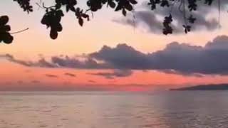 Download lagu Story wa senja pantai (polosan) mp3