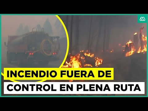 Incendios forestales activos en Quillón y Queime: fuego está fuera de control en plena ruta