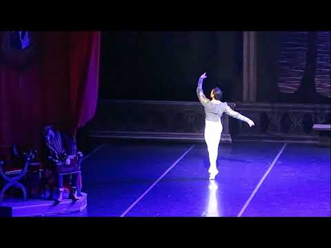 Ciro Tamayo - Variación Sigfrido Act. I El Lago de los Cisnes