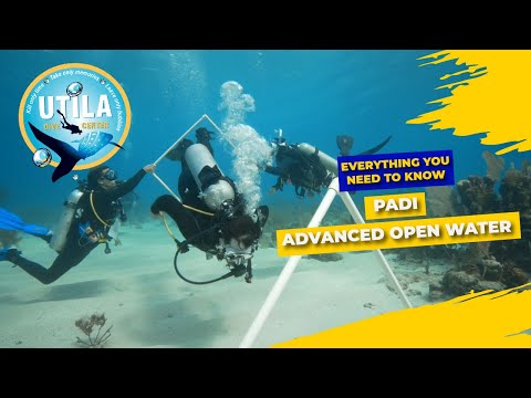 What is the PADI Advanced Open Water Course? | UTILA DIVE CENTER