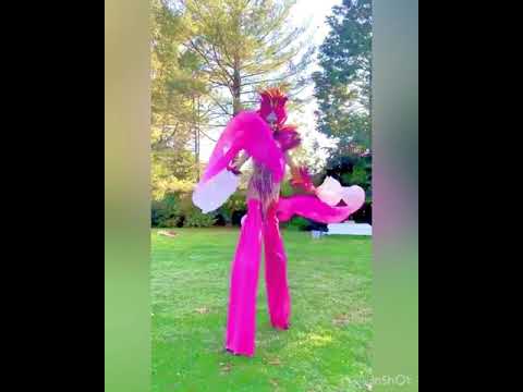 Promotional video thumbnail 14 for Jessica Black