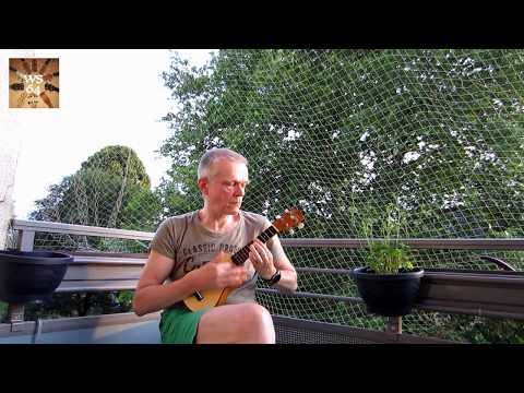 Ukulele solo: I'm Not In Love