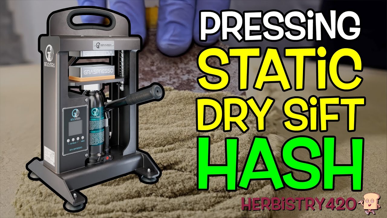 Pressing Static Dry Sift Hash – How to Get High-Yield Rosin