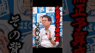 国民民主党、補正予算賛成！その背景とは！？国民民主党参議院議員はまぐち誠　 #補正予算　#国民民主党