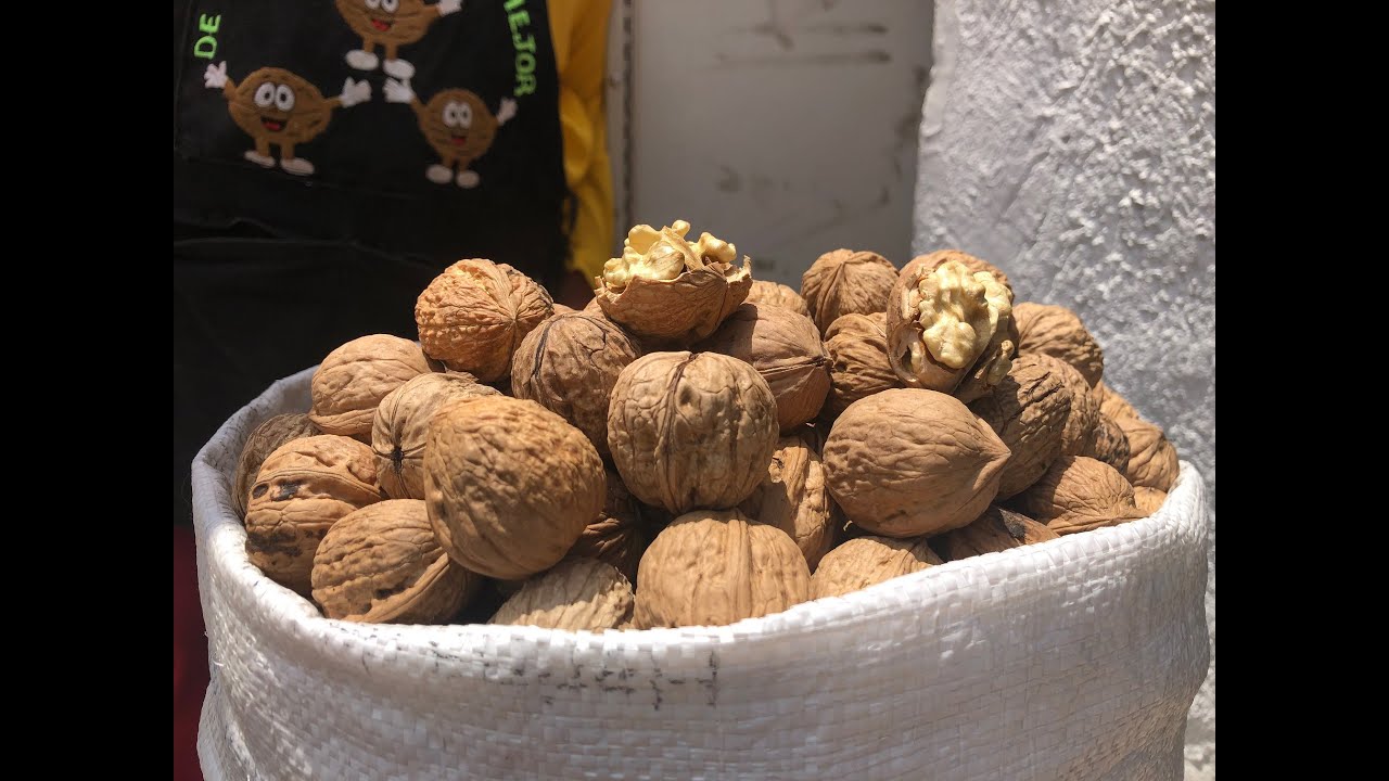 Inicia la venta de nueces de Castilla en Tlaxcala