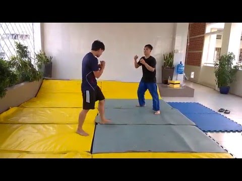 MMA vs Krav Maga| Free sparring #35
