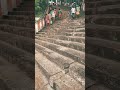 பழனி Temple Video WhatsApp Status Trending Shorts Pazhani Muruga