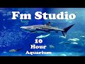 Whale Shark Aquarium -10 Hours! Fm Studio [Mix Master] 20212020
