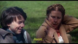 Don&#39;t be shy - Cat Stevens (Unofficial Music Video)