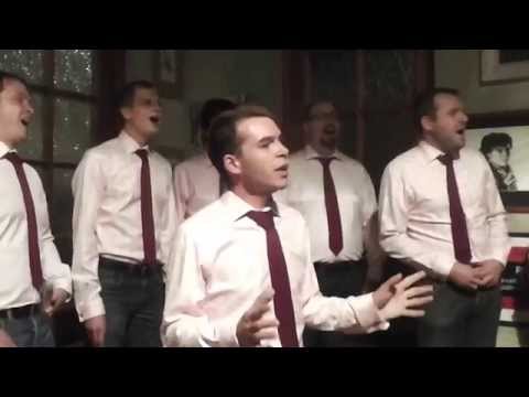 Gentlemen Singers - Hallelujah  / Leonard Cohen / Divadelní slavnosti 2014 Hradec Králové