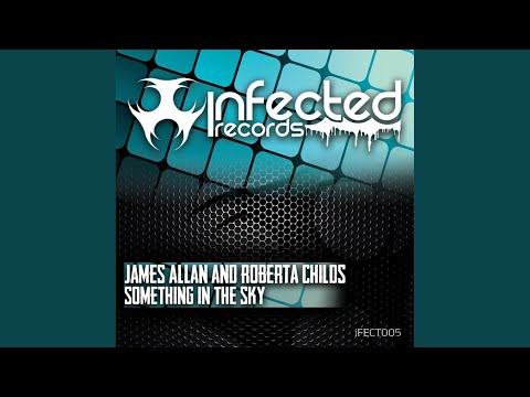 Something In The Sky (Original Mix)