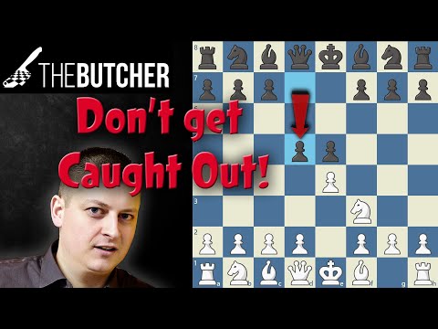 Destroy The Elephant Gambit in Two Easy Ways!!