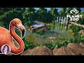American Flamingo Habitat Planet Zoo Speed Build