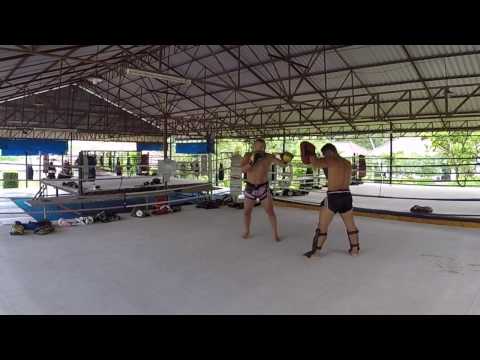 Demo Deidda PDMT 2017